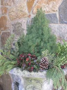 decorate for christmas with planter